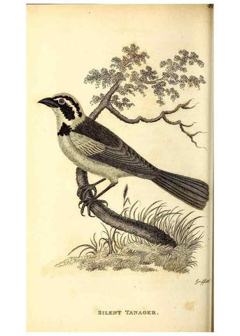 Reproducción/Reproduction 49830123768: General zoology, or Systematic natural history. London,Printed for G. Kearsley,1800-1826.. 
