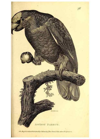Reproducción/Reproduction 49830191256: General zoology, or Systematic natural history. London,Printed for G. Kearsley,1800-1826.. 
