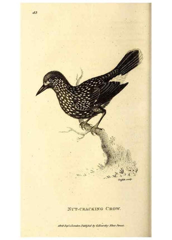 Reproducción/Reproduction 49830376552: General zoology, or Systematic natural history. London,Printed for G. Kearsley,1800-1826.. 