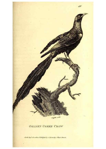 Reproducción/Reproduction 49830377952: General zoology, or Systematic natural history. London,Printed for G. Kearsley,1800-1826.. 