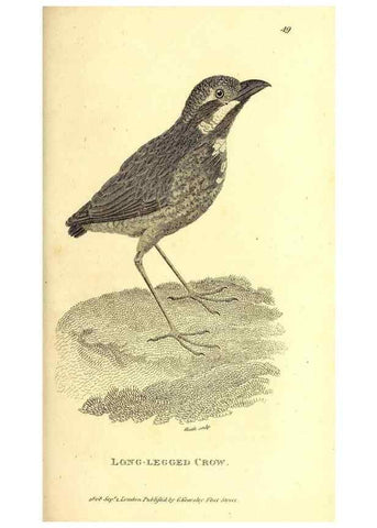 Reproducción/Reproduction 49830072351: General zoology, or Systematic natural history. London,Printed for G. Kearsley,1800-1826.. 