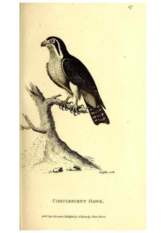 Reproducción/Reproduction 49830060866: General zoology, or Systematic natural history. London,Printed for G. Kearsley,1800-1826.. 