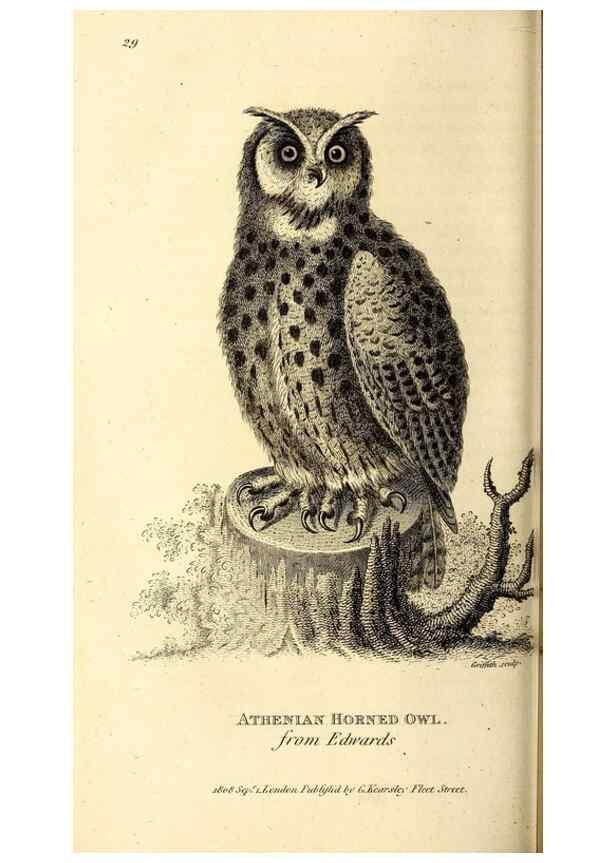 Reproducción/Reproduction 49830062386: General zoology, or Systematic natural history. London,Printed for G. Kearsley,1800-1826.. 