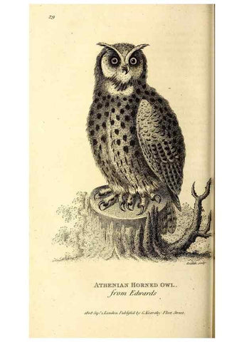 Reproducción/Reproduction 49830062386: General zoology, or Systematic natural history. London,Printed for G. Kearsley,1800-1826.. 