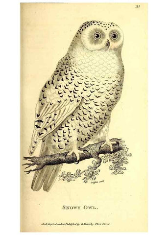 Reproducción/Reproduction 49830063761: General zoology, or Systematic natural history. London,Printed for G. Kearsley,1800-1826.. 