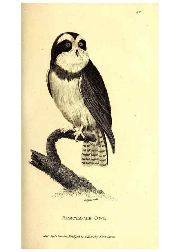 Reproducción/Reproduction 49829532828: General zoology, or Systematic natural history. London,Printed for G. Kearsley,1800-1826.. 