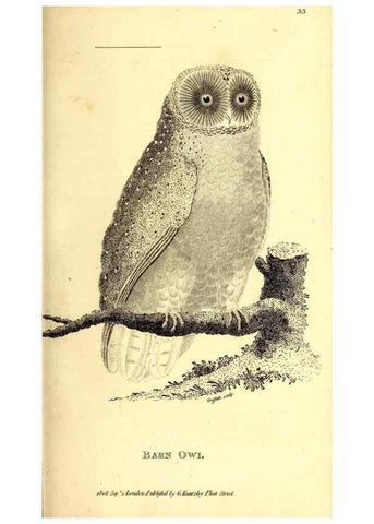 Reproducción/Reproduction 49829533193: General zoology, or Systematic natural history. London,Printed for G. Kearsley,1800-1826.. 