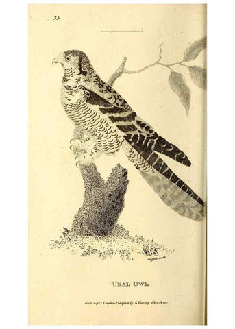 Reproducción/Reproduction 49830065756: General zoology, or Systematic natural history. London,Printed for G. Kearsley,1800-1826.. 