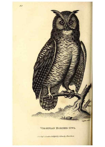 Reproducción/Reproduction 49830063081: General zoology, or Systematic natural history. London,Printed for G. Kearsley,1800-1826.. 