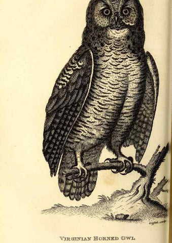 Reproducción/Reproduction 49830063081: General zoology, or Systematic natural history. London,Printed for G. Kearsley,1800-1826.. 