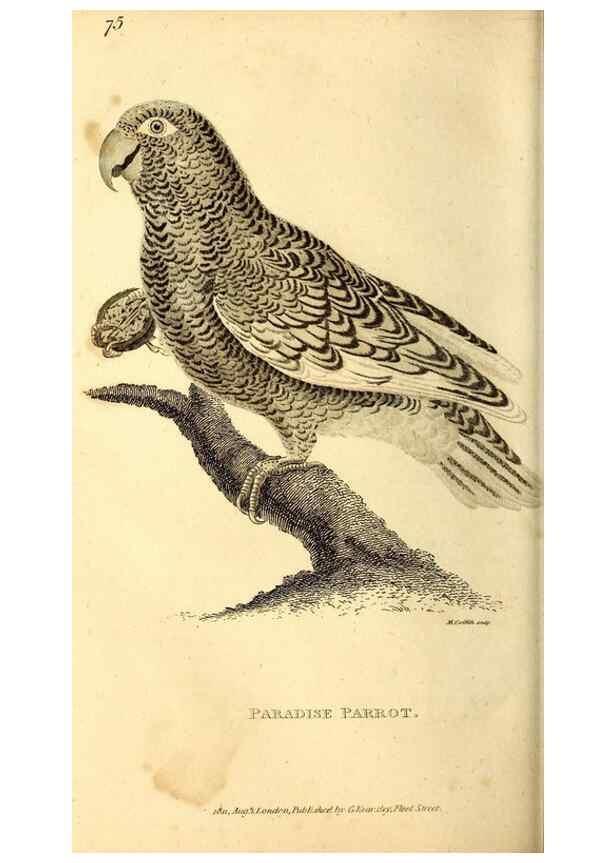 Reproducción/Reproduction 49829659478: General zoology, or Systematic natural history. London,Printed for G. Kearsley,1800-1826.. 