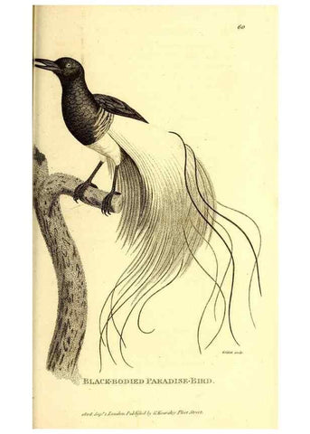 Reproducción/Reproduction 49830077606: General zoology, or Systematic natural history. London,Printed for G. Kearsley,1800-1826.. 