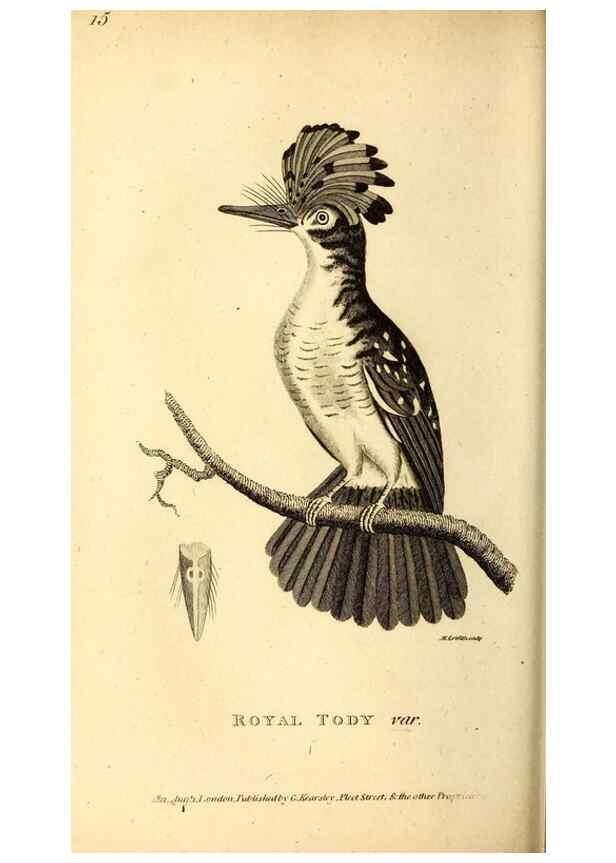 Reproducción/Reproduction 49830166721: General zoology, or Systematic natural history. London,Printed for G. Kearsley,1800-1826.. 