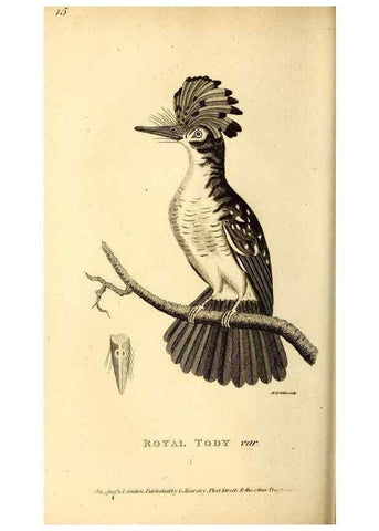 Reproducción/Reproduction 49830166721: General zoology, or Systematic natural history. London,Printed for G. Kearsley,1800-1826.. 