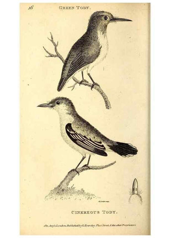 Reproducción/Reproduction 49830474372: General zoology, or Systematic natural history. London,Printed for G. Kearsley,1800-1826.. 