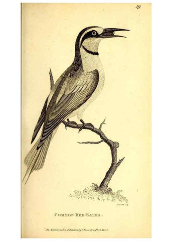 Reproducción/Reproduction 49830167836: General zoology, or Systematic natural history. London,Printed for G. Kearsley,1800-1826.. 