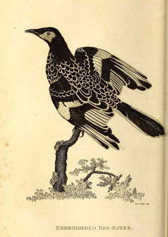 Reproducción/Reproduction 49830475457: General zoology, or Systematic natural history. London,Printed for G. Kearsley,1800-1826.. 