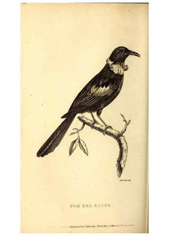 Reproducción/Reproduction 49829637243: General zoology, or Systematic natural history. London,Printed for G. Kearsley,1800-1826.. 