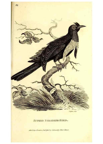 Reproducción/Reproduction 49830079116: General zoology, or Systematic natural history. London,Printed for G. Kearsley,1800-1826.. 