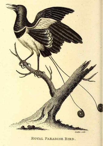 Reproducción/Reproduction 49830081686: General zoology, or Systematic natural history. London,Printed for G. Kearsley,1800-1826.. 