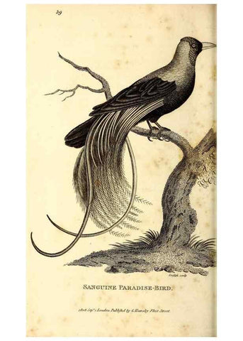 Reproducción/Reproduction 49830077046: General zoology, or Systematic natural history. London,Printed for G. Kearsley,1800-1826.. 