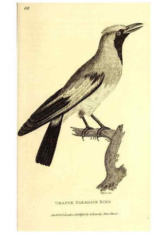 Reproducción/Reproduction 49830082151: General zoology, or Systematic natural history. London,Printed for G. Kearsley,1800-1826.. 