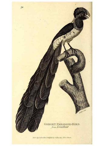 Reproducción/Reproduction 49830083141: General zoology, or Systematic natural history. London,Printed for G. Kearsley,1800-1826.. 