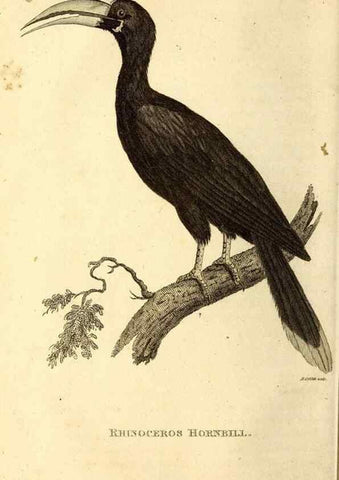 Reproducción/Reproduction 49829631223: General zoology, or Systematic natural history. London,Printed for G. Kearsley,1800-1826.. 