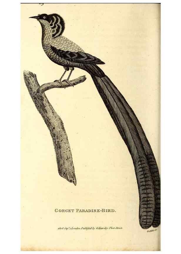 Reproducción/Reproduction 49830082561: General zoology, or Systematic natural history. London,Printed for G. Kearsley,1800-1826.. 