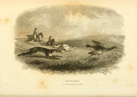 Reproducción/Reproduction 49831173792: General zoology, or Systematic natural history. London,Printed for G. Kearsley,1800-1826.. 