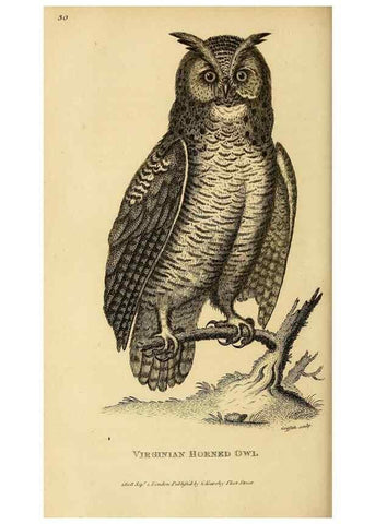 Reproducción/Reproduction 49830744296: General zoology, or Systematic natural history. London,Printed for G. Kearsley,1800-1826.. 