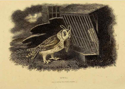 Reproducción/Reproduction 49830744956: General zoology, or Systematic natural history. London,Printed for G. Kearsley,1800-1826.. 