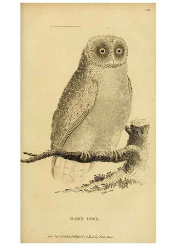 Reproducción/Reproduction 49830214423: General zoology, or Systematic natural history. London,Printed for G. Kearsley,1800-1826.. 