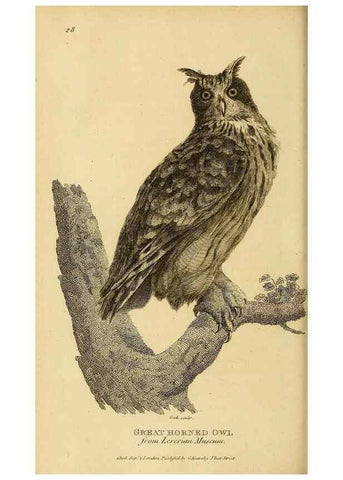 Reproducción/Reproduction 49830743136: General zoology, or Systematic natural history. London,Printed for G. Kearsley,1800-1826.. 