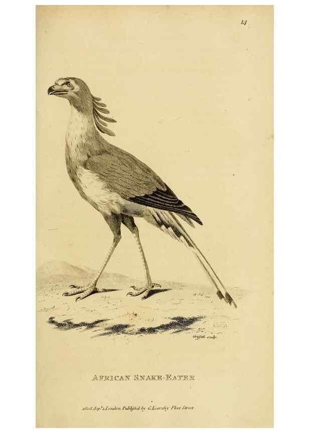 Reproducción/Reproduction 49830734006: General zoology, or Systematic natural history. London,Printed for G. Kearsley,1800-1826.. 