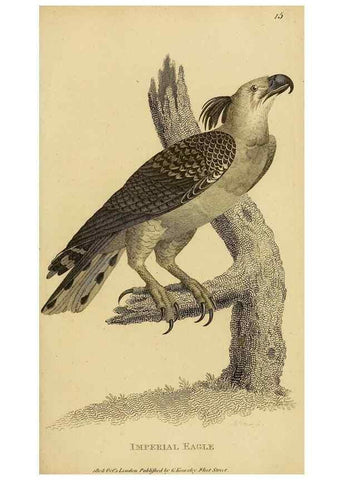 Reproducción/Reproduction 49830202228: General zoology, or Systematic natural history. London,Printed for G. Kearsley,1800-1826.. 