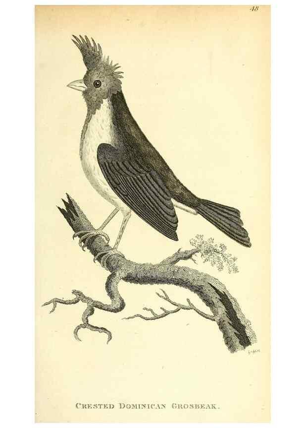 Reproducción/Reproduction 49830252068: General zoology, or Systematic natural history. London,Printed for G. Kearsley,1800-1826.. 