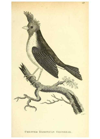 Reproducción/Reproduction 49830252068: General zoology, or Systematic natural history. London,Printed for G. Kearsley,1800-1826.. 