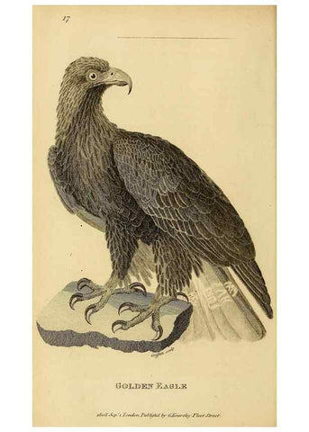 Reproducción/Reproduction 49830204338: General zoology, or Systematic natural history. London,Printed for G. Kearsley,1800-1826.. 