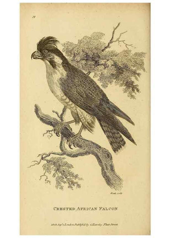 Reproducción/Reproduction 49830206868: General zoology, or Systematic natural history. London,Printed for G. Kearsley,1800-1826.. 
