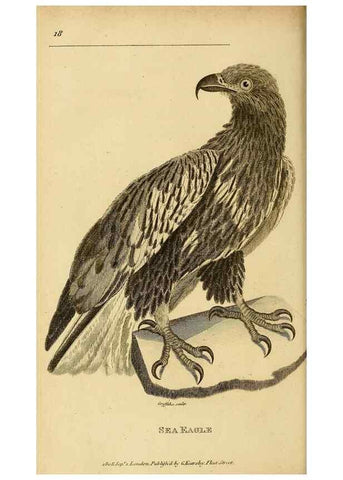 Reproducción/Reproduction 49830204938: General zoology, or Systematic natural history. London,Printed for G. Kearsley,1800-1826.. 