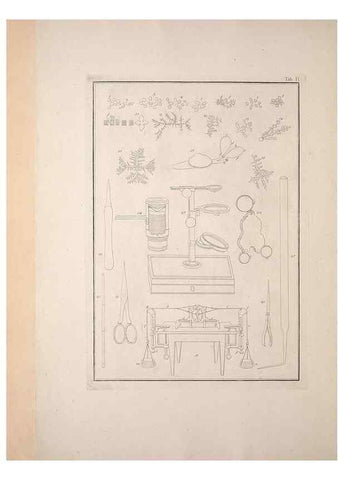 Reproducción/Reproduction 49830827091: Testacea utriusque Siciliae eorumque historia et anatome :. Parmae :Ex regio typographeio,MDCCXCI-MDCCCXXVI [1791-1827]. 