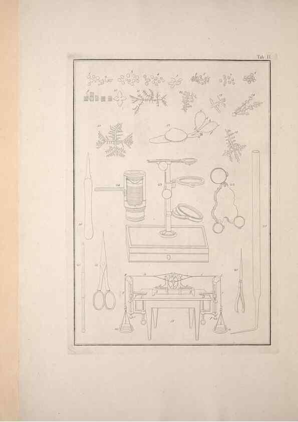 Reproducción/Reproduction 49830827091: Testacea utriusque Siciliae eorumque historia et anatome :. Parmae :Ex regio typographeio,MDCCXCI-MDCCCXXVI [1791-1827]. 