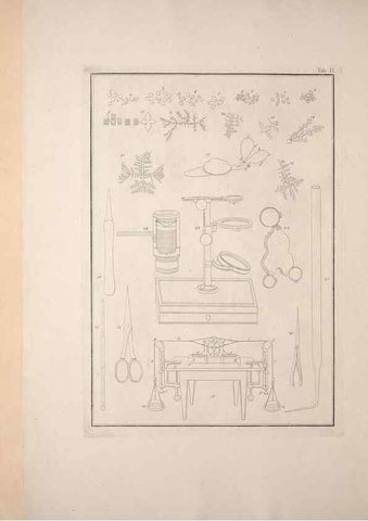 Reproducción/Reproduction 49830827091: Testacea utriusque Siciliae eorumque historia et anatome :. Parmae :Ex regio typographeio,MDCCXCI-MDCCCXXVI [1791-1827]. 