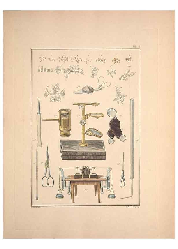 Reproducción/Reproduction 49830295058: Testacea utriusque Siciliae eorumque historia et anatome :. Parmae :Ex regio typographeio,MDCCXCI-MDCCCXXVI [1791-1827]. 