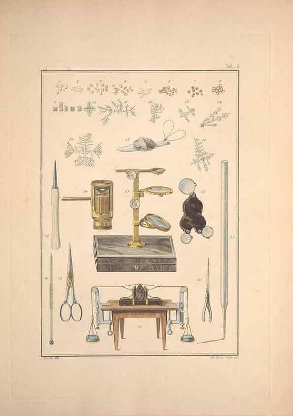 Reproducción/Reproduction 49830295058: Testacea utriusque Siciliae eorumque historia et anatome :. Parmae :Ex regio typographeio,MDCCXCI-MDCCCXXVI [1791-1827]. 