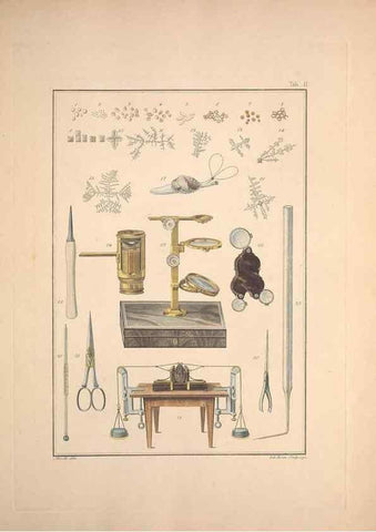 Reproducción/Reproduction 49830295058: Testacea utriusque Siciliae eorumque historia et anatome :. Parmae :Ex regio typographeio,MDCCXCI-MDCCCXXVI [1791-1827]. 