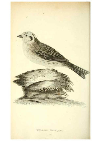 Reproducción/Reproduction 49830788266: General zoology, or Systematic natural history. London,Printed for G. Kearsley,1800-1826.. 