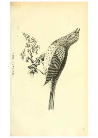 Reproducción/Reproduction 49830255628: General zoology, or Systematic natural history. London,Printed for G. Kearsley,1800-1826.. 