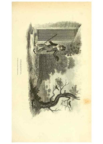 Reproducción/Reproduction 49830791236: General zoology, or Systematic natural history. London,Printed for G. Kearsley,1800-1826.. 